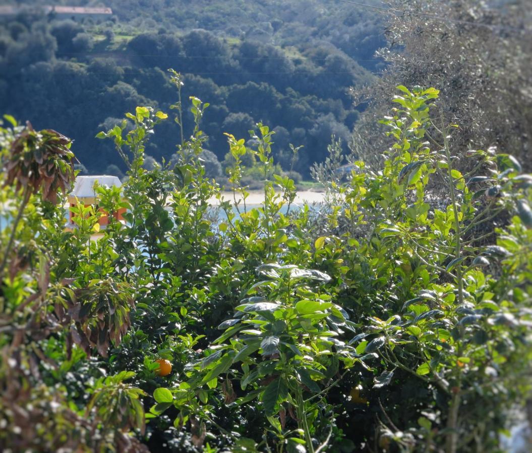 Casa Da Barra Azul By Stay In Alentejo Vila Nova de Milfontes Εξωτερικό φωτογραφία